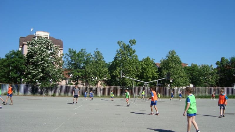 DSC01241_800x450.JPG